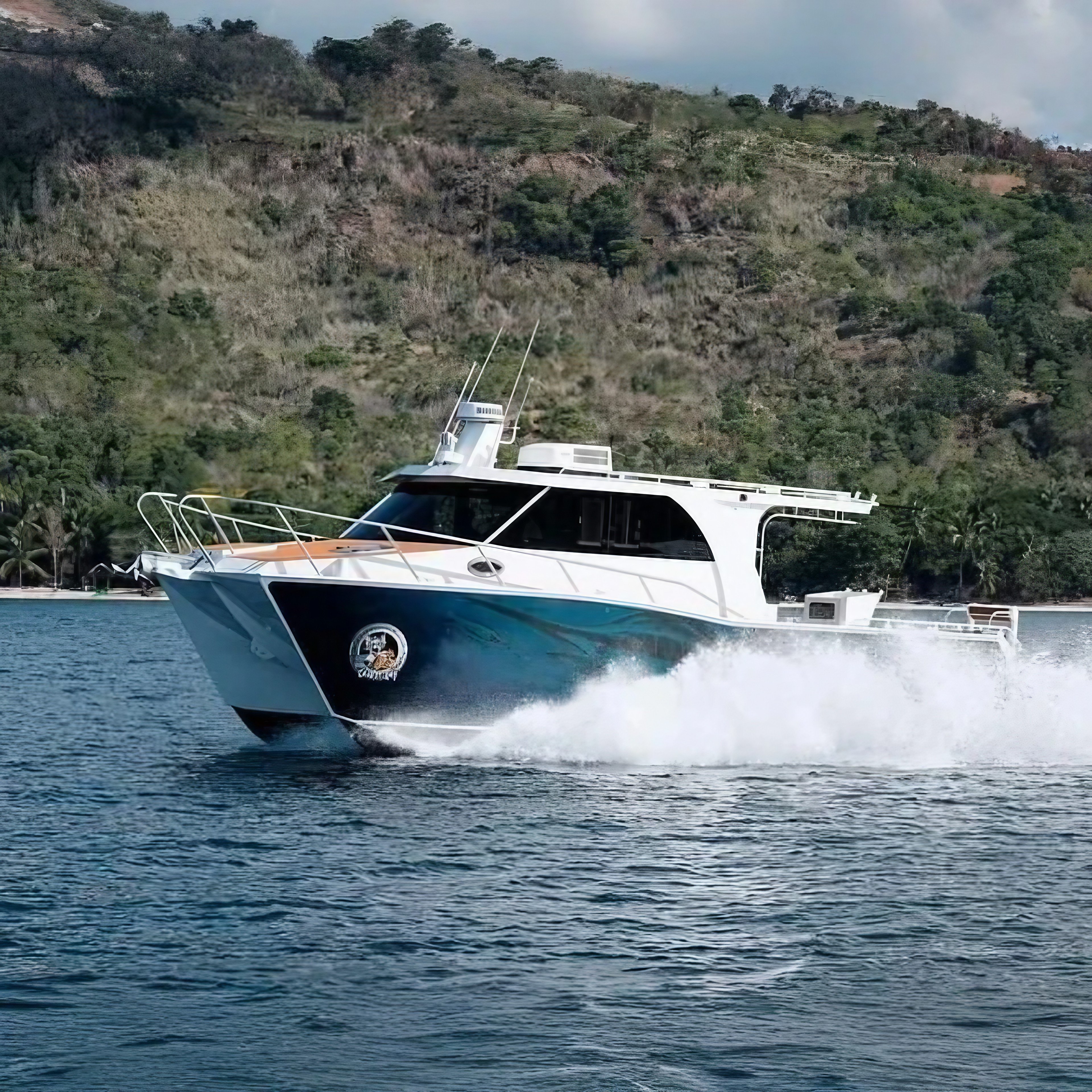 33FT Aluminium Factory Customized Luxury Catamaran With Cabin Fishing Boat Twin Hull Aluminium Cruiser Boat for Sale With Engine